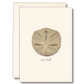 Sand Dollar Note Cards