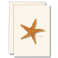 Sea Star Note Cards