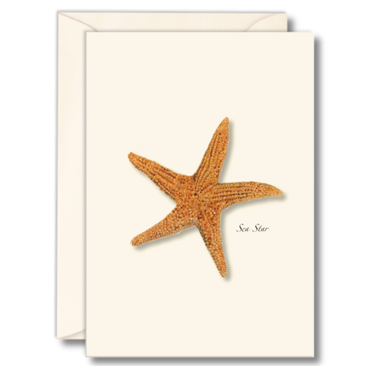 Sea Star Note Cards