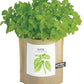 Basil, Garden-in-a-bag