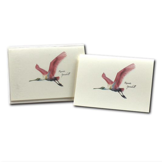 Roseate Spoonbill Boxed Notes