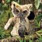 Screech Owl Puppet #2961