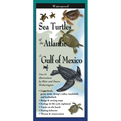 Sea Turtles of the Atlantic & Gulf of Mexico Waterproof Folding Field Guide