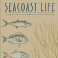 Seacoast Life, By Judith M. Spitsbergen