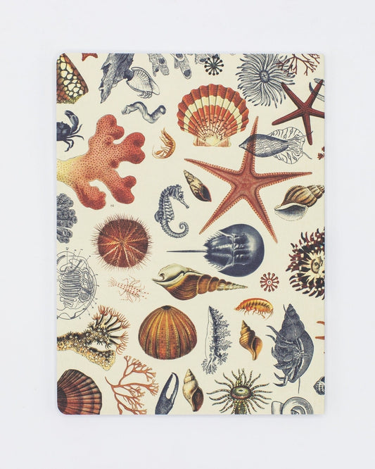 Shallow Seas Plate 2 Softcover Notebook - Lined