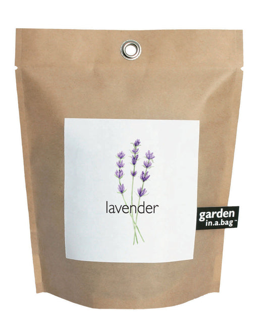 Lavender, Garden-in-a-bag