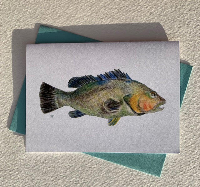 Note Card - Red Grouper