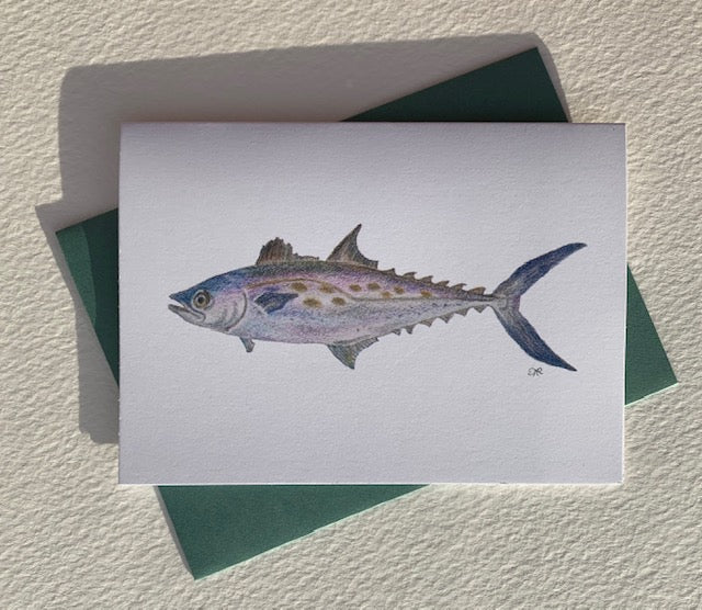 Note Card - Spanish Mackerel