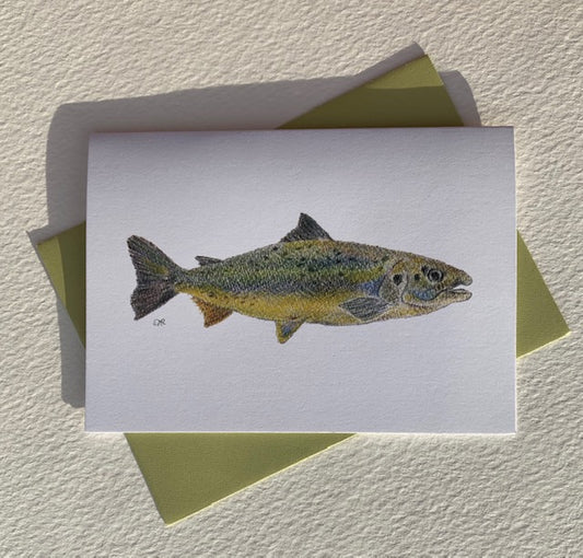 Note Card - Atlantic Salmon
