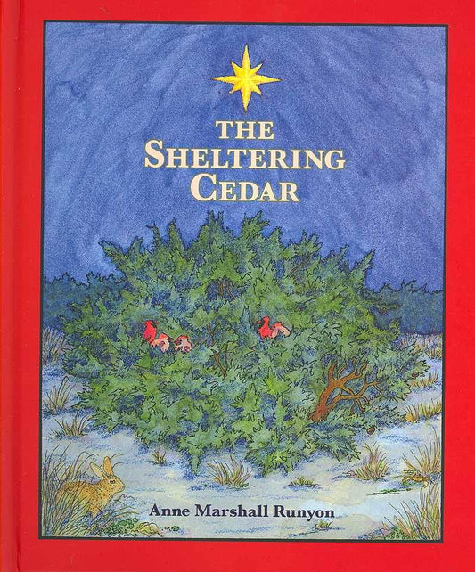 The Sheltering Cedar by Anne Marshall Runyon