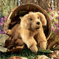 Golden Retriever Puppy Puppet 2862